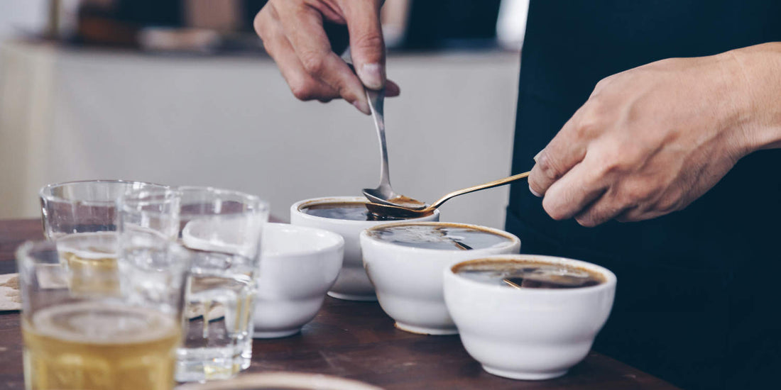 Our baristas get to experience the flavor and quality of our specialty coffee firsthand, through their active involvement in the cupping process!