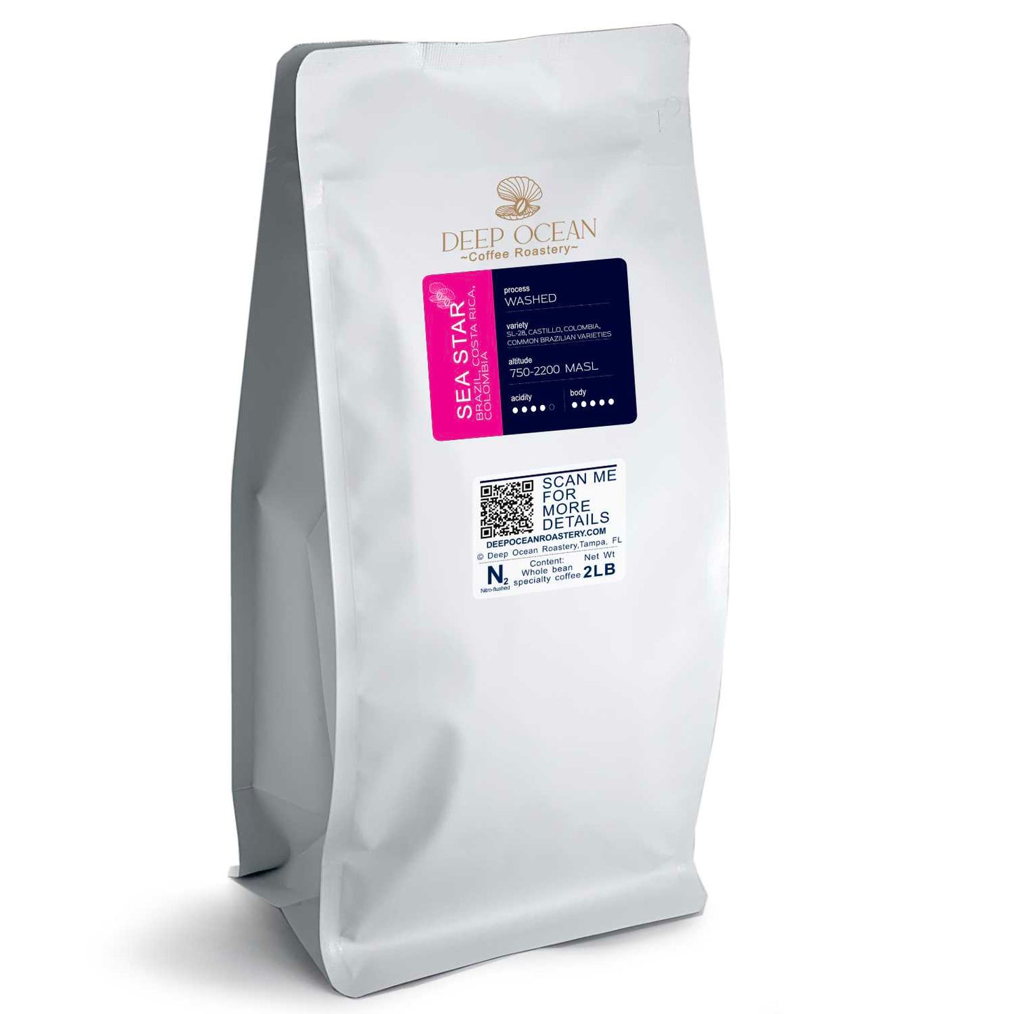 variant 3- Sea Star great Latin America blend