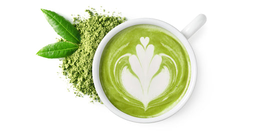 Matcha is produced from the leaves of Camelia sinensis tea plants